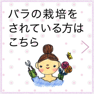 バラの栽培をされている方はこちら