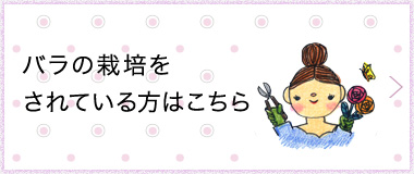 バラの栽培をされている方はこちら