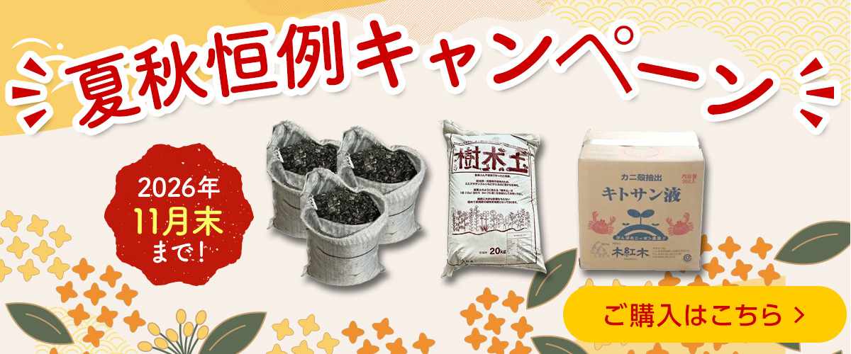 夏秋キャンペーン