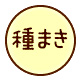 種まき