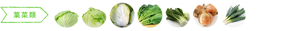 葉菜類