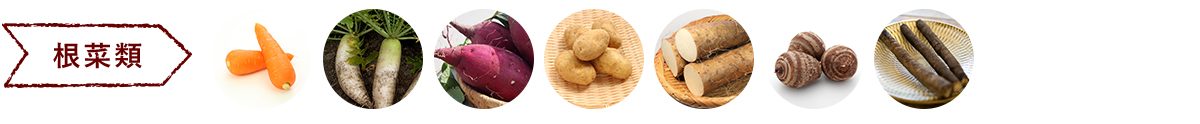 根菜類