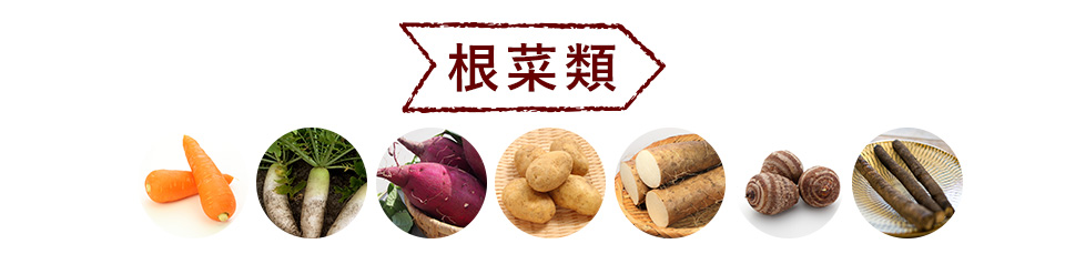 根菜類