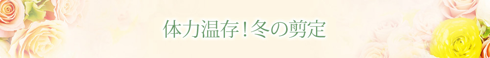 冬のバラのお手入れ