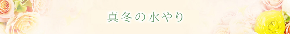 冬のバラのお手入れ