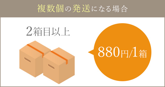 1万円以上のご注文で